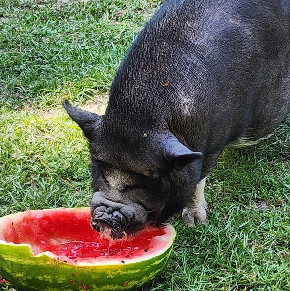 Meet your Posher, Mary - Picture 4 of 16